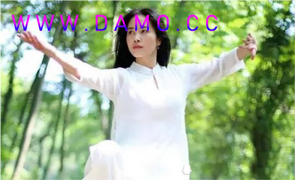 胎息 胎息经