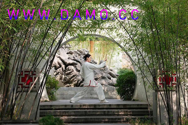 胎息 胎息经