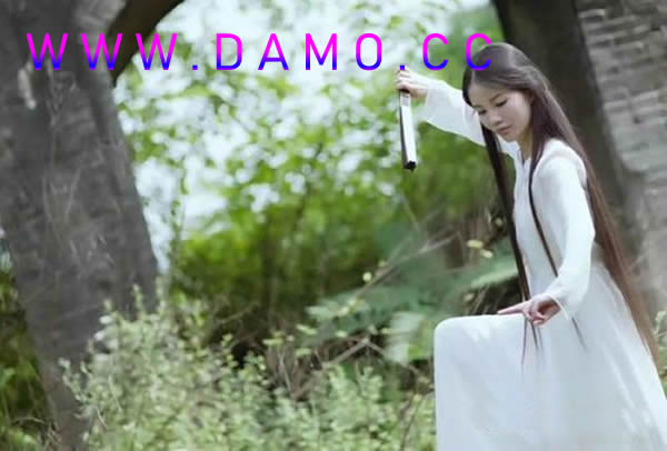 武校 武术