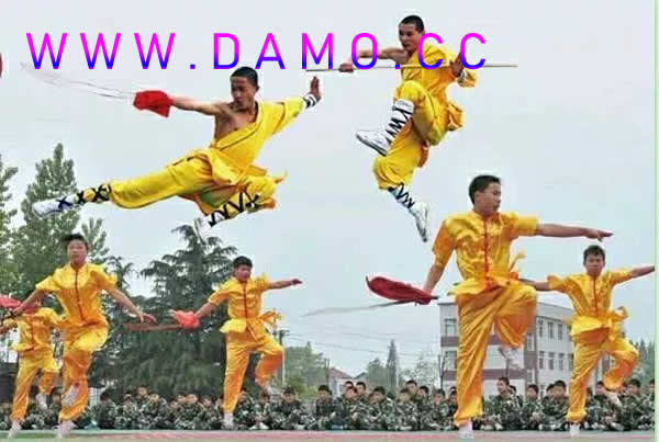 武校 武术