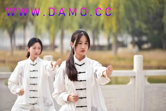 形意拳 易筋经