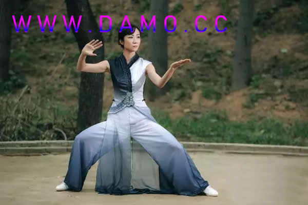 形意拳 易筋经