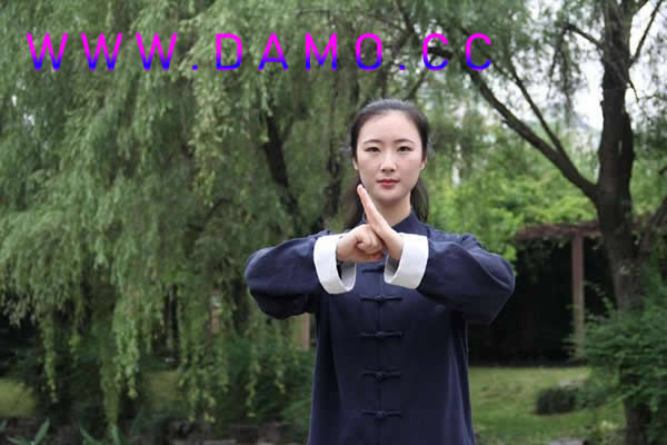 形意拳 易筋经