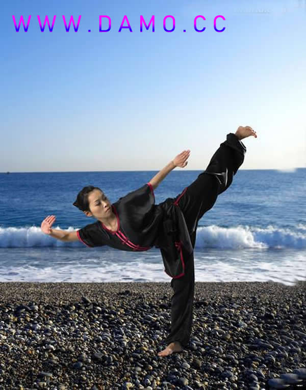 形意拳 易筋经