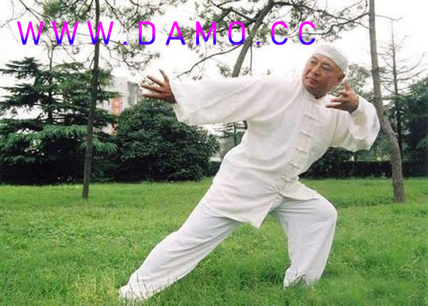 形意拳 易筋经