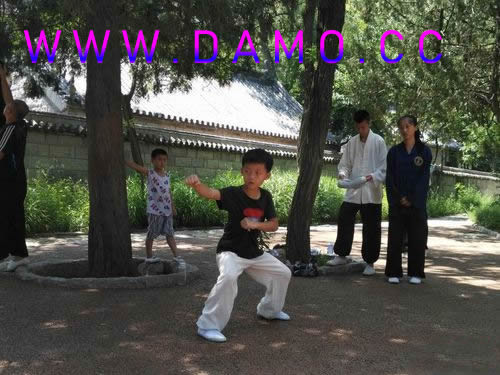 形意拳 易筋经