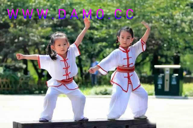 形意拳 易筋经