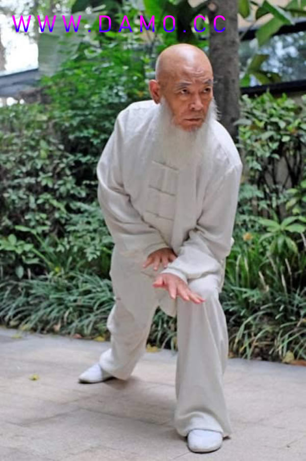 心意把 易筋经