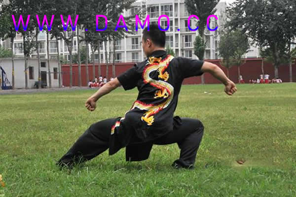 心意把 易筋经