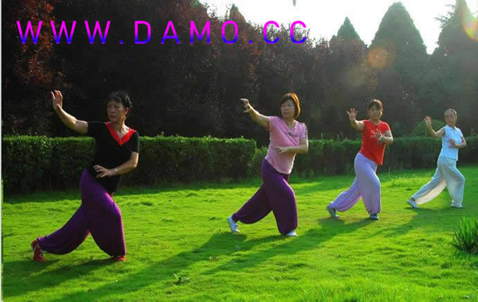 心意把 易筋经