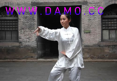 心意把 易筋经