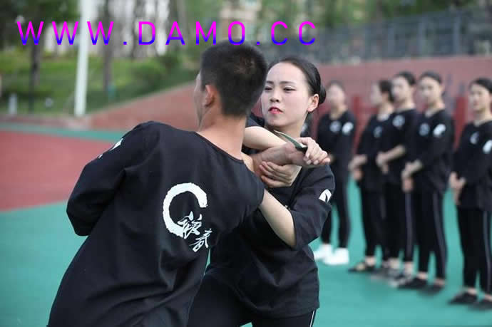 心意把 易筋经