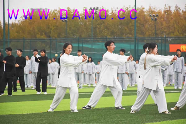 养生课 养生